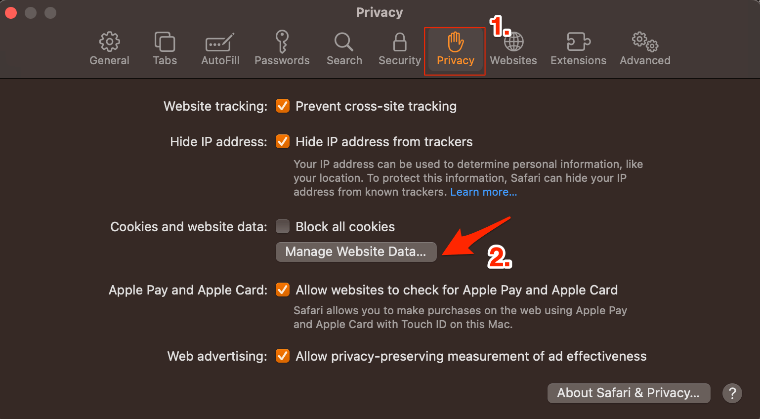 manage_website_data_on_safari_mac