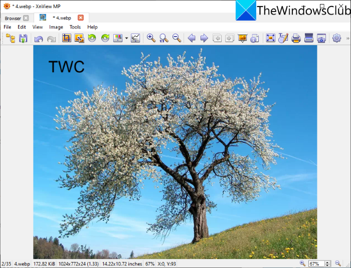 xnview_how-to-edit-webp-image-windows-11-10-e1626175545975